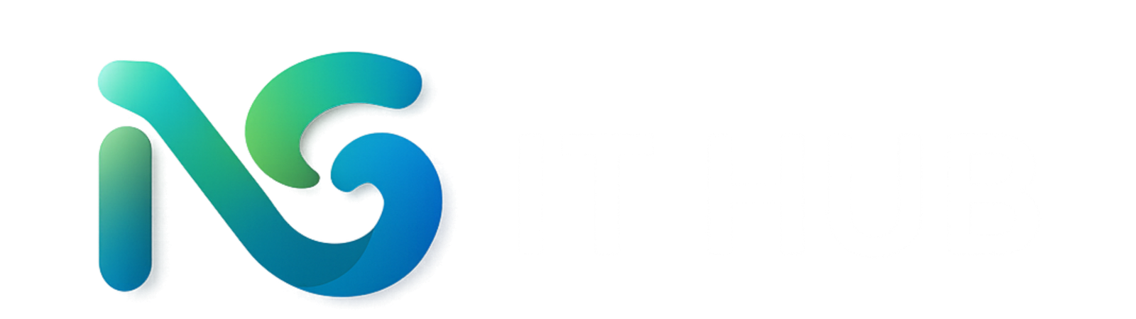 NG IT HUB Logo